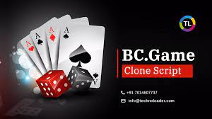 BC Game Online Gambling Establishment & Sports Betting in India